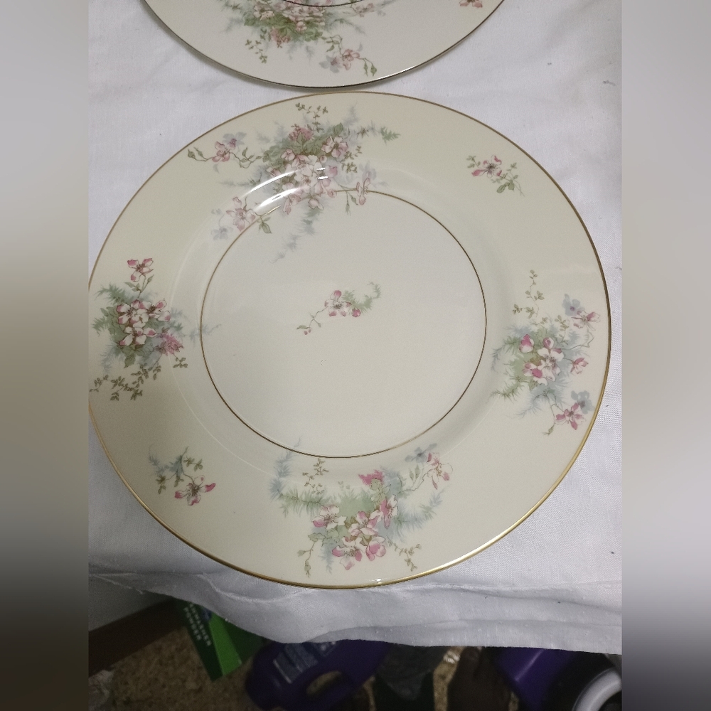 Pair Of Theodore Haviland New York dinner plates. Apple Blossom pattern - Picture 3 of 9